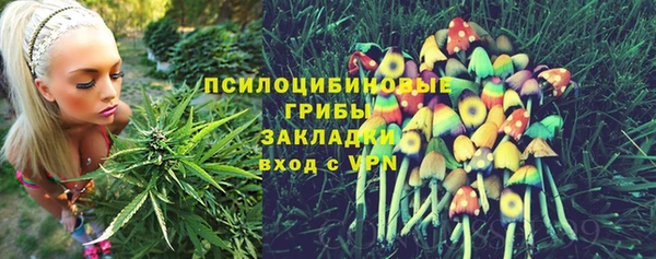 прущие крисы Горнозаводск