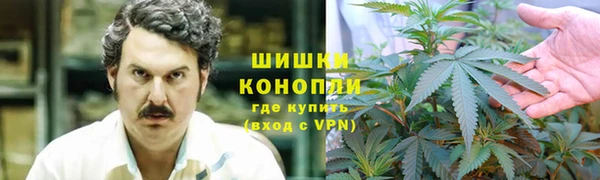 прущие крисы Горнозаводск