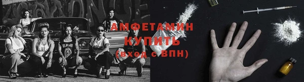 ПСИЛОЦИБИНОВЫЕ ГРИБЫ Горняк