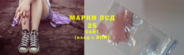 ПСИЛОЦИБИНОВЫЕ ГРИБЫ Горняк