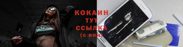 ПСИЛОЦИБИНОВЫЕ ГРИБЫ Горняк