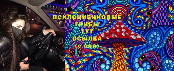 мдма Няндома
