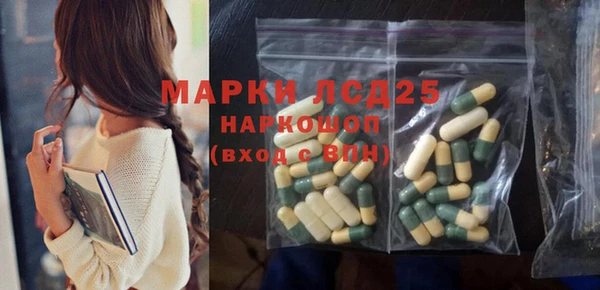 ПСИЛОЦИБИНОВЫЕ ГРИБЫ Горняк